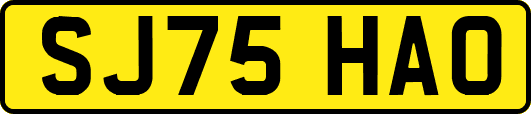 SJ75HAO