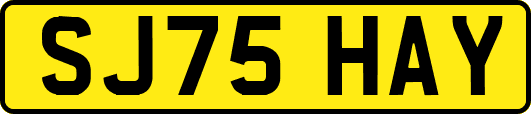 SJ75HAY