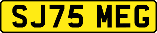 SJ75MEG
