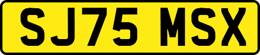 SJ75MSX