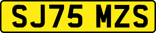 SJ75MZS