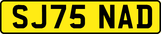 SJ75NAD