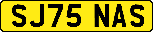 SJ75NAS