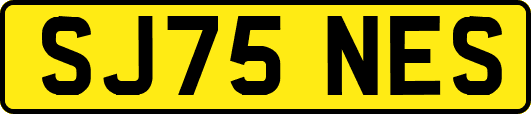 SJ75NES