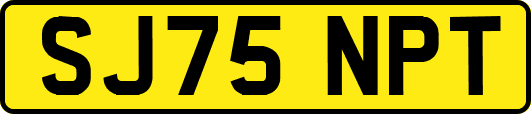 SJ75NPT