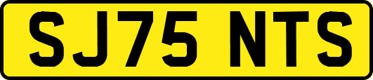 SJ75NTS