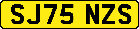 SJ75NZS