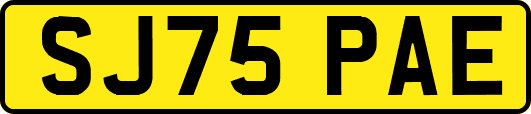 SJ75PAE