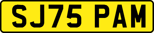 SJ75PAM