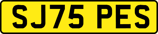SJ75PES