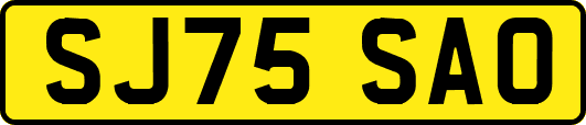 SJ75SAO