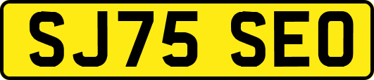 SJ75SEO