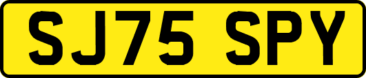 SJ75SPY