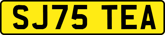 SJ75TEA