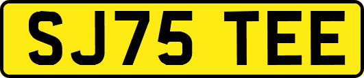 SJ75TEE