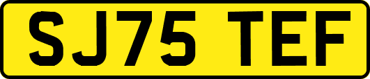 SJ75TEF