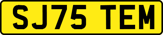 SJ75TEM
