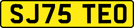 SJ75TEO