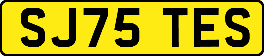 SJ75TES
