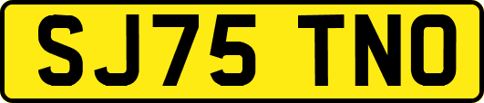 SJ75TNO