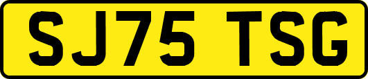 SJ75TSG