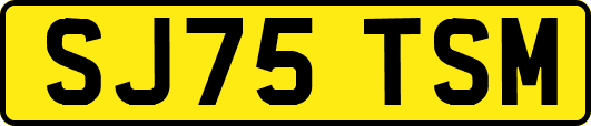 SJ75TSM