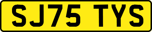 SJ75TYS