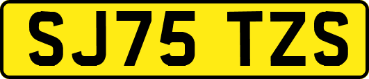SJ75TZS