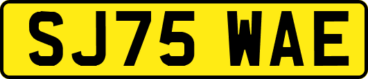 SJ75WAE