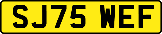 SJ75WEF