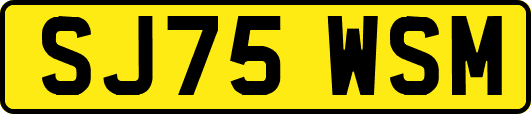 SJ75WSM