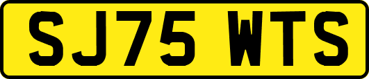 SJ75WTS