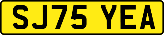 SJ75YEA