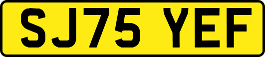 SJ75YEF