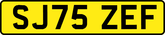 SJ75ZEF