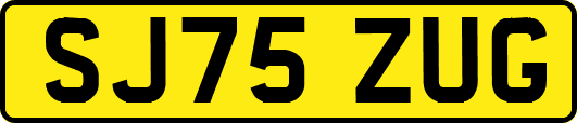 SJ75ZUG