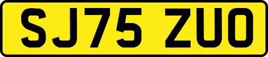 SJ75ZUO