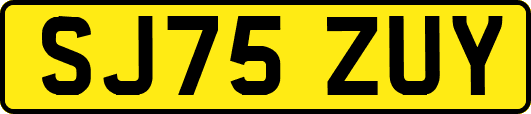 SJ75ZUY