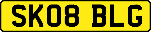 SK08BLG