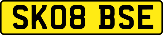 SK08BSE