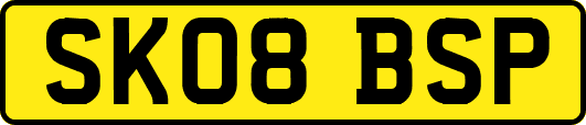 SK08BSP