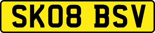 SK08BSV