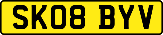 SK08BYV