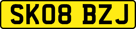 SK08BZJ