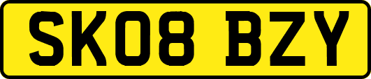 SK08BZY