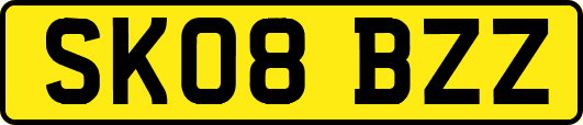SK08BZZ