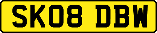 SK08DBW