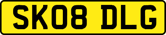 SK08DLG