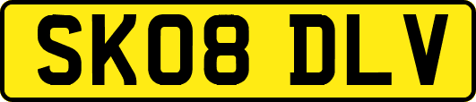 SK08DLV