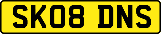 SK08DNS